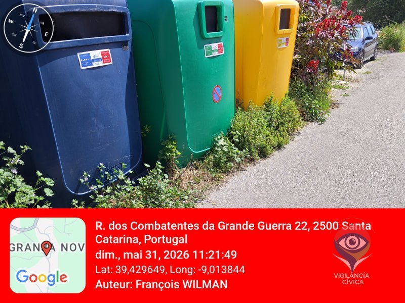 Contentores de reciclagem colocados de qualquer jeito à beira da estrada, onde é perigoso parar e os carros circulam a uma velocidade excessiva. Isto é mesmo uma loucura.